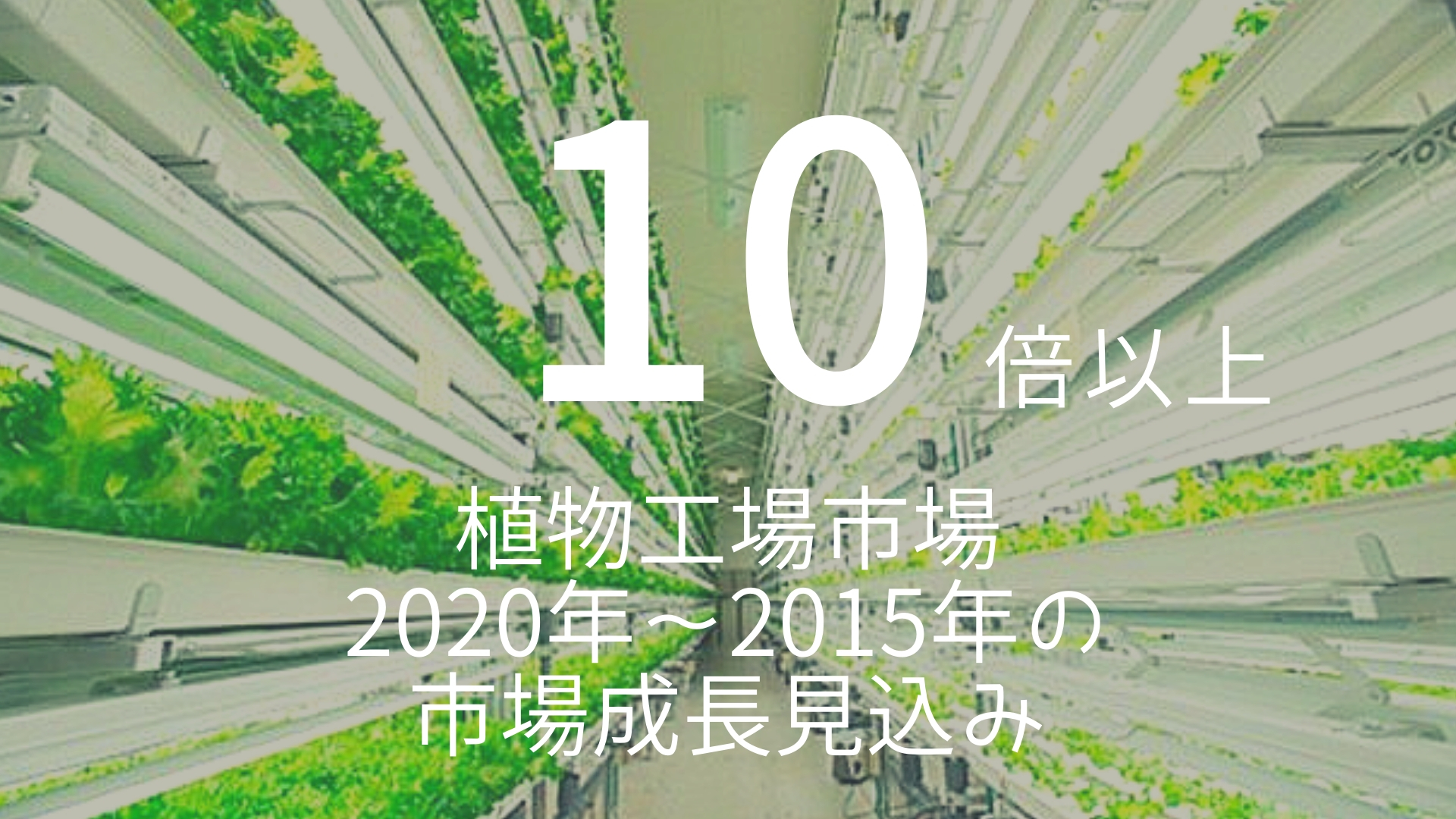 10倍以上 植物工場市場 年 15年の市場成長見込み 朝礼スピーチのネタ帳ブログ 1分間スピーチ