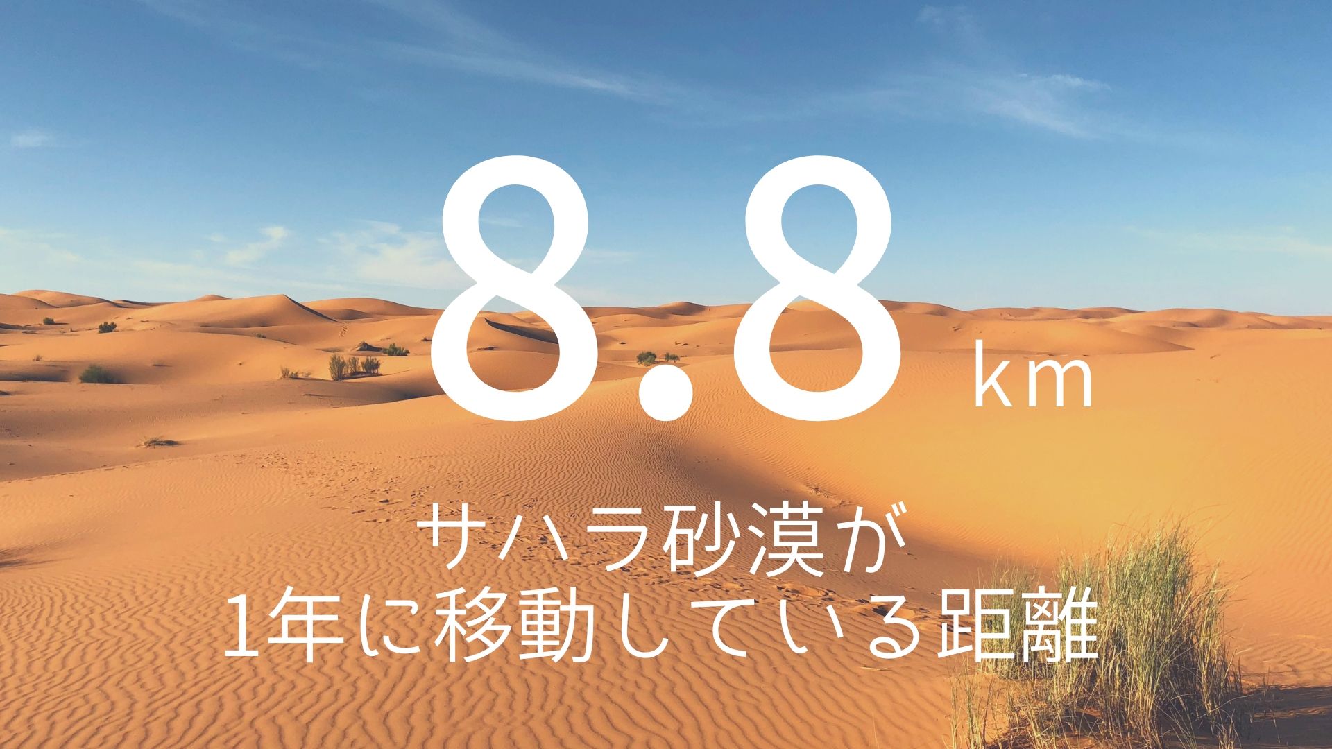 「8.8km」 >>> サハラ砂漠が1年に移動している距離。